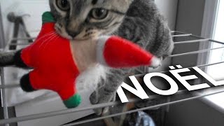 079 LE CHAT QUI A KIDNAPPÉ LE PÈRE-NOËL