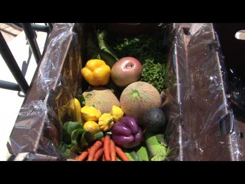 download lagu mp3 mp4 Csa Vegetable Delivery, download lagu Csa Vegetable Delivery gratis, unduh video klip Csa Vegetable Delivery