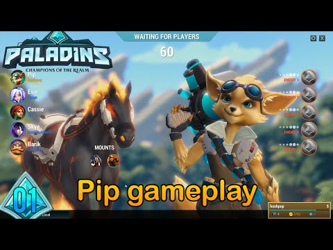 Paladins - First recorded game #1
