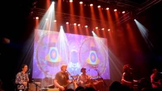 Gong+Steve Hillage - Hurdy Gurdy Man