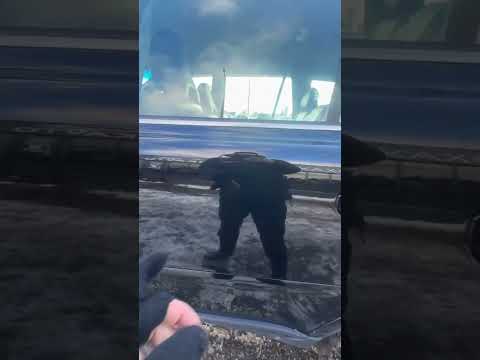 фото volvo xc90 i рестайлинг 0