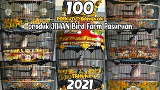Download lagu SUARA PERKUTUT BANGKOK RING JIHAN BIRD FARM PRODUK [2021] mp3
