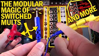 Video thumbnail for THE MODULAR SYNTH MAGIC OF MULTIPLES by mylarmelodies