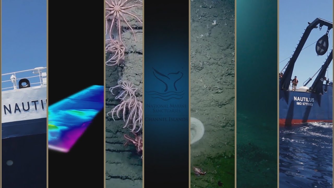 Expedition Overview: Channel Islands in 60 Seconds