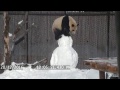 Panda vs lumiukko