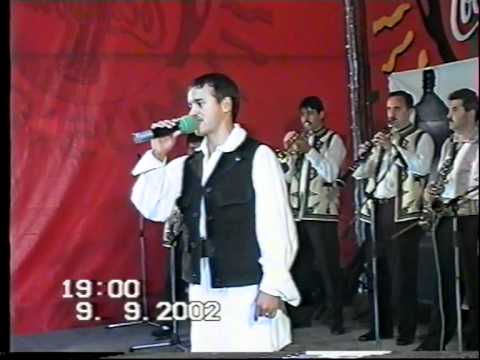 RUGA HERCULANE 2002 LIVE - FLORIN PISTRILA part 2