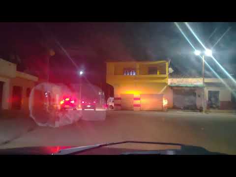 De volta a minha terra, Palmeirina pe 