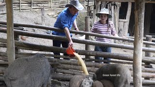 A busy day for Robert and his girlfriend preparing for the wedding. Green forest life