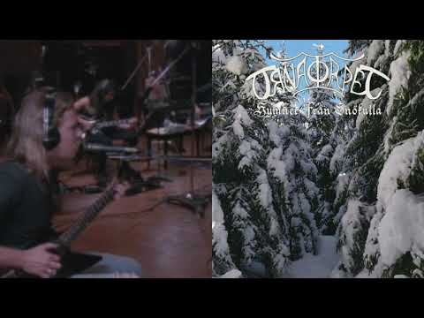 Örnatorpet x Metallica - Inget annat spelar roll när du är över frusen mark. (dungeon synth mashup)