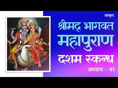 Shrimad Bhagwat Katha Skandh-10 Adhay-41 🌸 Shrimad Bhagwat Mahapuran Dasham 🌺 Jaya Kishori 🌹 #katha