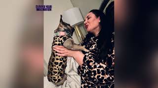 Dr.Amber| Biography, age, height, net worth