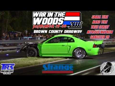 War in the Woods XIII