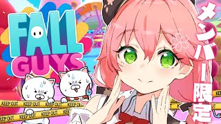 さくらみこ - 【 メンバー限定 】みんなでフォールガイズ練習会?【ホロライブ/さくらみこ】