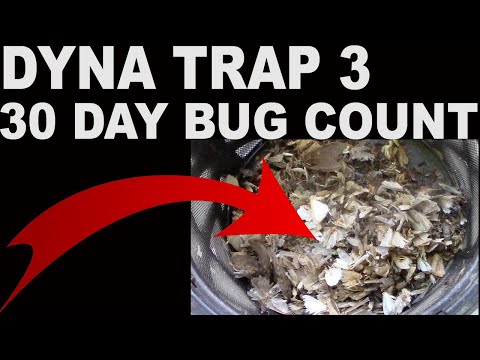 Cleaning My Dynatrap