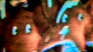 The All New Captain Kangaroo: The Secret of Good Moose-trition part 2