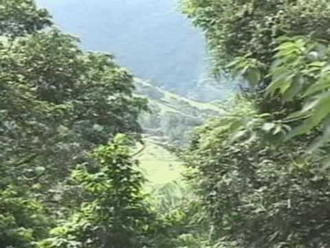 José Vicente Alvarenga Junior