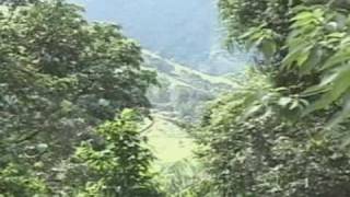 José Vicente Alvarenga Junior