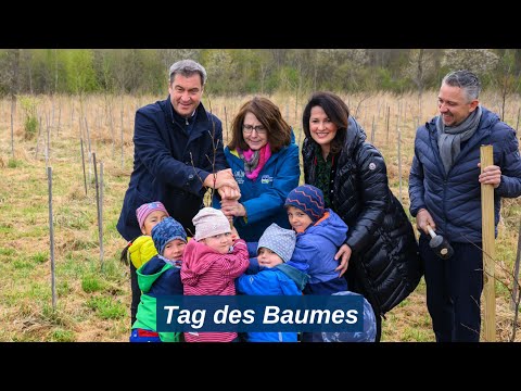 Heute ist Tag des Baumes! - Bayern