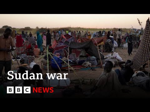 Hundreds killed at hospital in Sudan, El-Fasher | BBC News