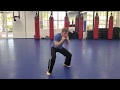Online Course Adult Krav Maga Lesson 1