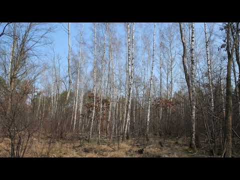 Besuch der Absturzstelle von 1986 bei Berlin-Bohnsdorf