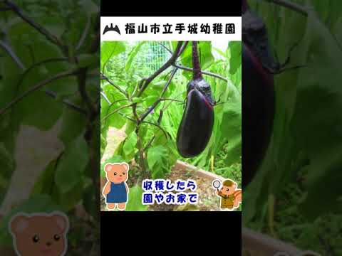 福山市立手城幼稚園