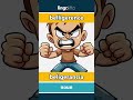 belligerence - beligerancia video thumbnail