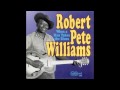 Robert Pete Williams - Sinner don`t you know