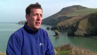 Talking Head: Ceredigion Coast Path