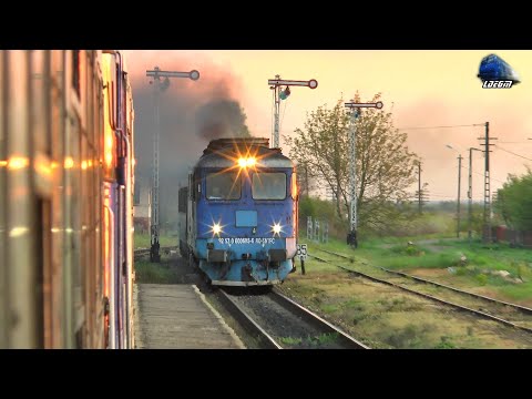 Călătorie cu Trenul 🚂 Satu Mare-Carei Train Ride - 03 May 2022