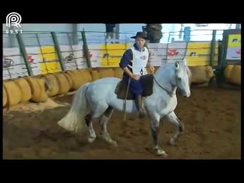 Classificatória Região Norte – 1° lugar machos – Madrugador 532 da Reconquista (Prova: Mangueira II)