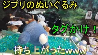 【クレーンゲーム】高価なぬいぐるみ、トトロとジジをいろんな作戦を駆使して安価にゲットしてみる