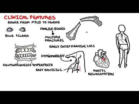 Endocrinology Overview