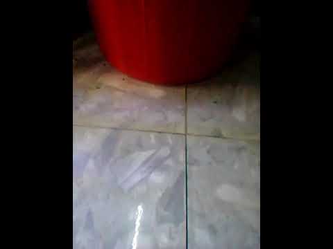 Ráp về cầu thủ pepe