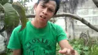 Download lagu Meggy Z - Anjing dan sampah by Buluk (bule Kupluk) mp3