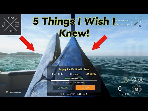 5 Things I Wish I Knew When Starting Fishing Planet