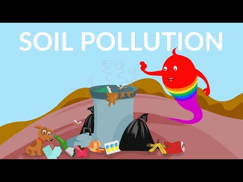 Soil Pollution || What are the causes of soil pollution|| soil pollution effects