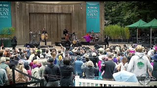 Thievery Corporation - Fight to Survive