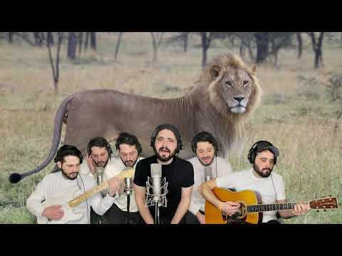 No Pride - Pernikoff Brothers