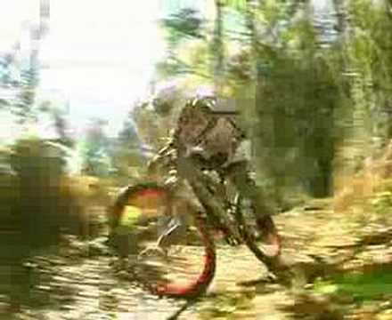 RIDETHEMOUNTAIN - Freeride