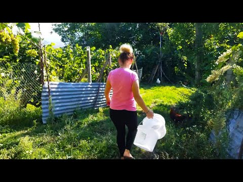 Make Yummy Pickled Vegetables from your Garden and Eat them all Winter