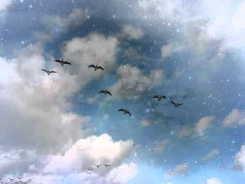 Joanne Shenandoah - To Those Who Dream