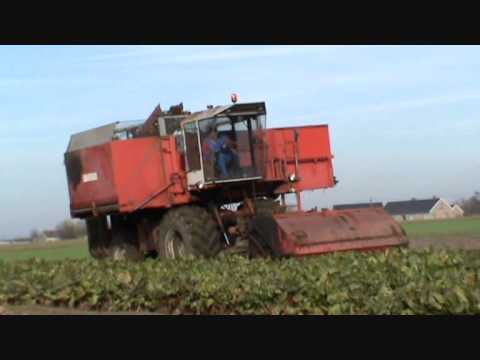 Loonw. Ripatrac - Eernegem - Martens Systems