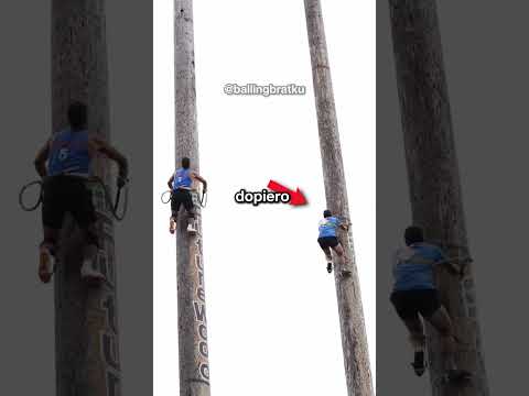 Pokazał Mu Gdzie Jego Miejsce 📍😱