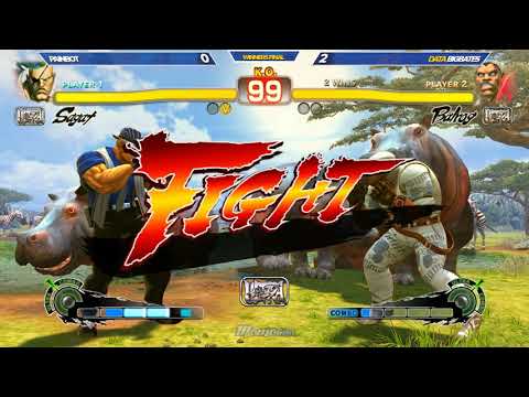 Momocon 2019 - USF4 - Winners Finals - Painbot vs. DATA BigBates