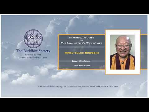 Shantideva's Guide to the Bodhisattva's Way of Life by Ringu Tulku Rinpoche - Lesson 4. Carefulness