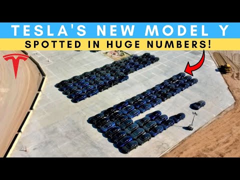Tesla's New Model Ys Spotted In Huge Numbers & More Updates!