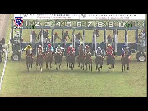 RM11 R3 | Ron's Joy | J.Allyhosain