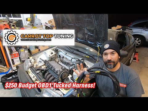 Not Everything Has to be Expensive for Quality! Carrot Top Tuning Tucked Harness!
