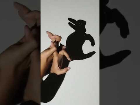 Hand shadow rabbit #shorts #youtubeshorts #ytshorts